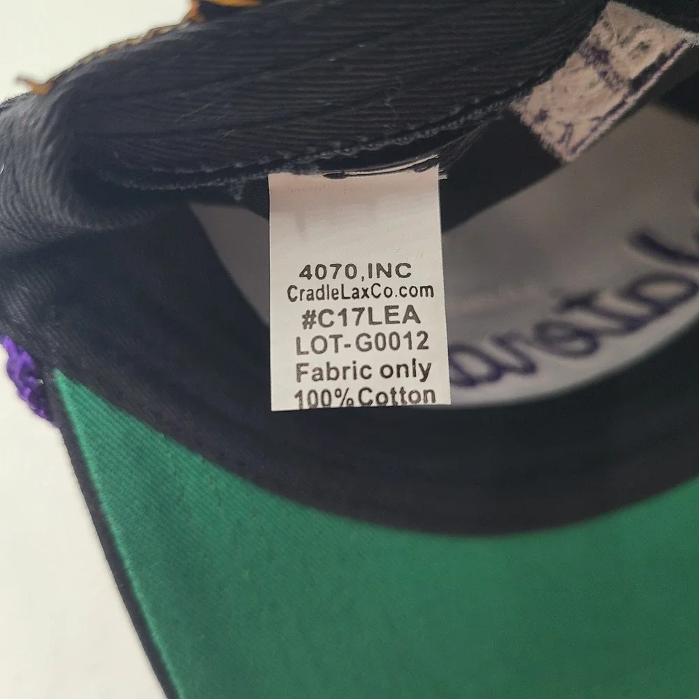 Philadelphia Waterdogs Hat Snapback Black Purple Rope PLL Lacrosse Script Men